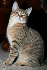 IMG_20250805_111510