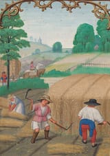 August-reaping-wheat