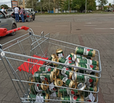 pivo