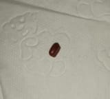 IMG_20250805_230453
