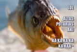 altas potarias