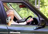 queen driving
