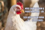 ser nóis q num avoa