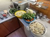 Fermentation