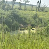 IMG_5682