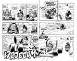 CH227 PG006