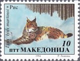 Balkan_Lynx_(Lynx_lynx_martinoi)