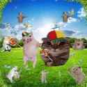 ssstwitter.com_1752316422759 (2)_thumb.jpg