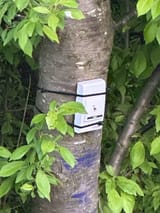 IMG_20250806_140704_478