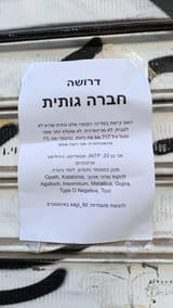 FB_IMG_1754486058081