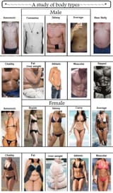 human_body_types_large_format_by_drawwithlaura_d2sfdth-fullview