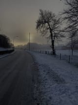 FC9EEEA5-E6E2-4147-84EF-0F794533354A
