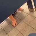 tard surfing_thumb.jpg