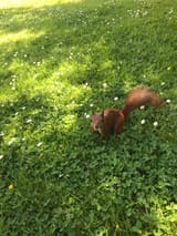 IMG_8419_Original