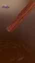 17_thumb.jpg