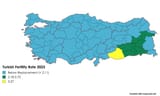Turkish_Fertility_Rate_2023