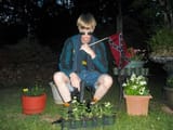 Dylan roof