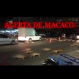 artworks-mPczyJFqETjVDjhz-jszPoA-t500x500