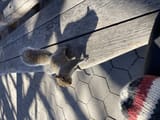 IMG_1117