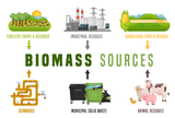 biomass-energy-landscape-poster-with-useful-infographics__720