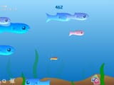bigfishgame