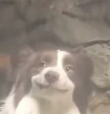Gqi3umHWsAABh1V