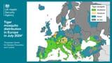 Tiger-mosquito-map-16-x-9-1-1536x864