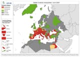 GR_Aedes_invasive_mosquitoes_2025_06