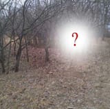 1754543673075896
