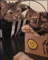 20250807_090322