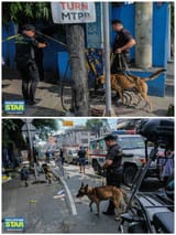 poor-k9-dog-all-work-no-food-v0-b0kh7d4y5sgf1