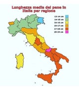 22102024103124