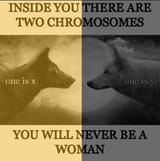 1737871555936758