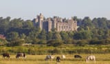 arundel-castle-1[1]
