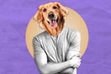VWM-gold-retriever-BF-A-ef5394de5cfc400f89ede868c8edf06a
