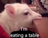 eatingatable