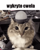 1754080304062116