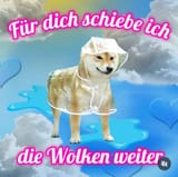 IMG_20250807_133236_095