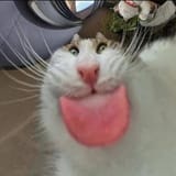 20250807_144451
