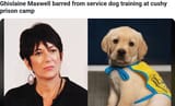 Screenshot 2025-08-07 at 15-50-06 Ghislaine Maxwell barred from service dog training at cushy prison camp r_news