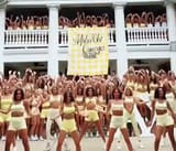 sorority