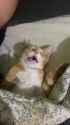 me at 6_99 am when work starts at 7 (1)_thumb.jpg