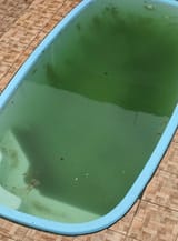 IMG_20250807_144143