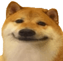 smiledoge