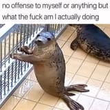 1725778760938010