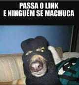 dogs-09
