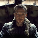 gosling