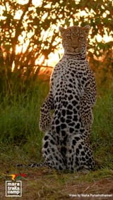 IMG_5073