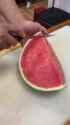 Watermelon 🍉 _thumb.jpg