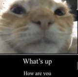 1747199685476844